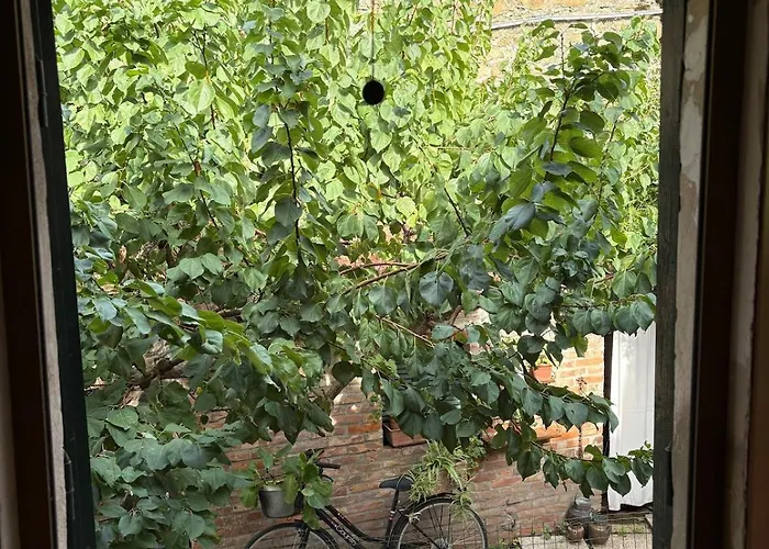 Castle With View アパート